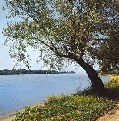 Река Дон.